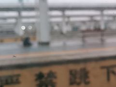 -商丘站