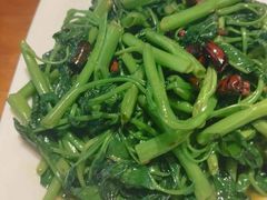 -庆合府重庆大排档(紫都城店)