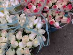 -循礼门鲜花花市(武汉循礼门店)