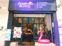 门面-Flamingo Bloom(TST /尖沙咀店)