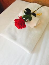 -伊姿衫日瘦 ·科技瘦身 ·纤体美妍