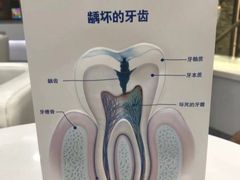 -兔博士口腔(高新一路门诊部)