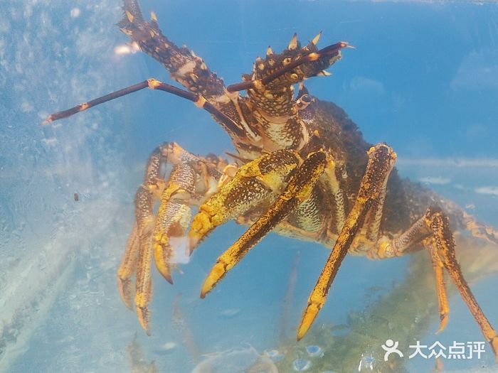 挪亚海味(金石滩商业中心广场店)图片