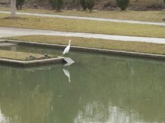 -白塘生态植物园