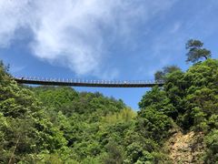 -磐安十八涡风景区