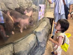 -正佳雨林生态植物园