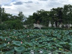 -惠州西湖丰渚园
