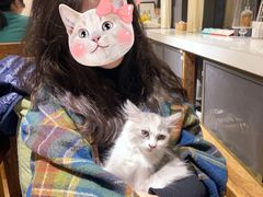 -吉丁鸟咖·异宠·寄养