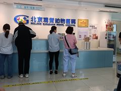 -北京观赏动物医院·24小时大型综合·猫专科·异宠专科