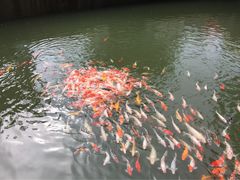 -东部华侨城