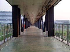 -首都医科大学附属北京天坛医院
