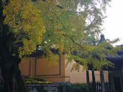 -无锡惠山寺