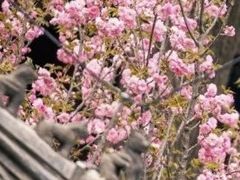 -云峰山自然风景区