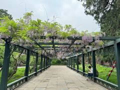 -北京市劳动人民文化宫(太庙)