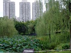 -沐仙湖湿地公园