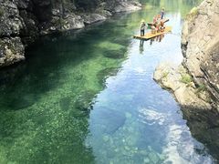 -石台牯牛降景区