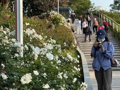 -人民公园(罗湖区)