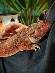 -酷嗒动物文化乐园(cutezoo西溪乐天城店)