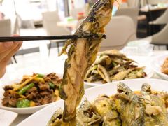 -丹水桥地锅鱼·翘嘴鲌·地方特色全鱼宴(丹江口大坝店)