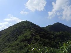 -大岭沟猕猴桃谷风景区