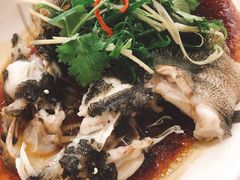 清蒸笋壳鱼-顺德佬华侨城店·商务宴请·团建