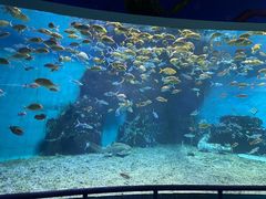 -泉城欧乐堡海洋极地世界