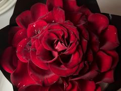 -莫尔顿扒房 MORTON'S GRILLE(igc天汇广场店)