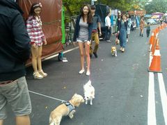 android_upload_pic-垦丁大街