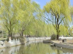 -莲花池公园