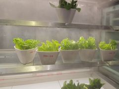 -川锅一号火锅(睢宁店)