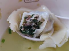 特色荠菜肉馄饨-潘国仙耳光馄饨(黄家阙路店)