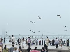 -星海广场