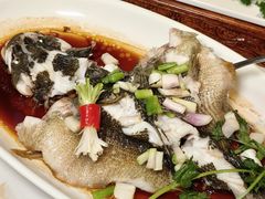 -唐苑酒家·岭南粤菜名店(太古仓店)