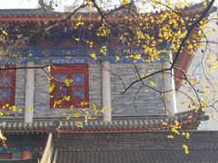 -西安大兴善寺