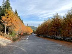 -东白山