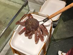 -蟹将军·松叶蟹和牛日料放题自助(K11店)