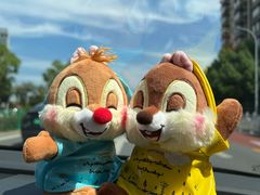 -上海迪士尼度假区