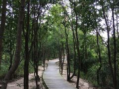 -石溪公园