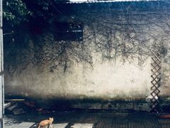 -昼夜咖啡馆