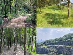 -黄埔油麻山森林公园