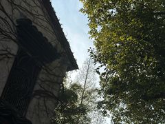 -乌镇景区