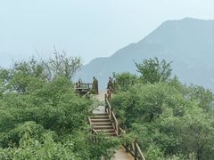-大岭沟猕猴桃谷风景区