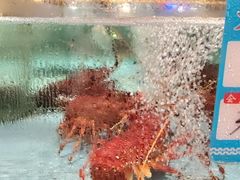 -阿伟海鲜楼·福建菜(延寿店)
