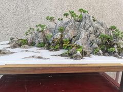 -上海植物园-4号门售票处