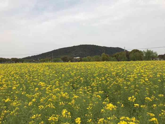 苏州太湖西山岛开心农场