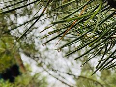-大钟寺古钟博物馆