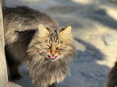 -北京西山国家森林公园