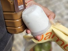 -洪馨椰子