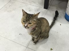 -蜀膳坊(洪公祠小区店)