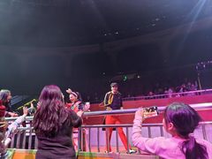 -灵玲国际马戏城